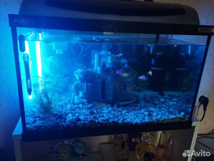 Аквариум