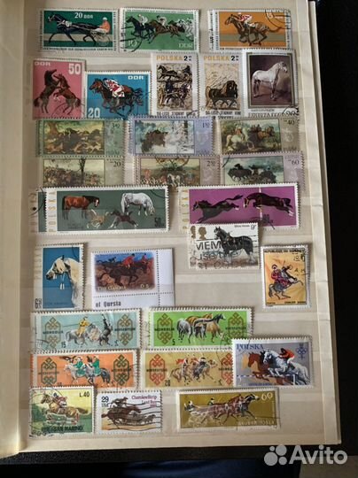 Почтовые марки Лошади