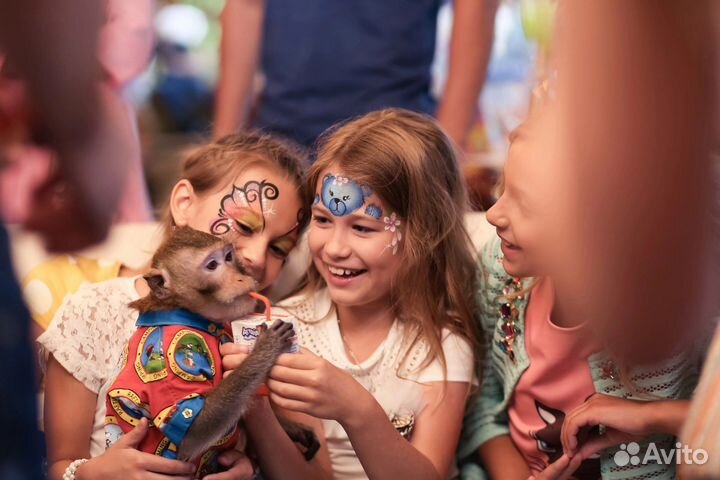 Аниматор фокусник