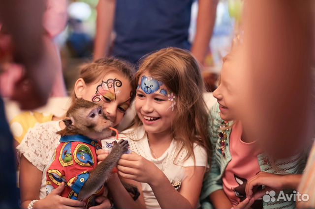 Аниматор фокусник