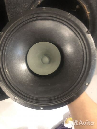 Широкополосные динамики Alphard HWC4-12MA300