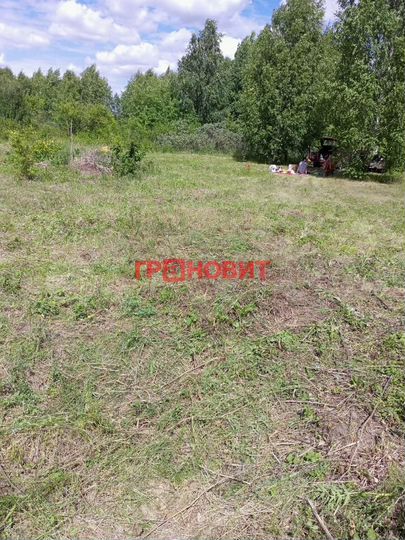 Участок 12 сот. (СНТ, ДНП)