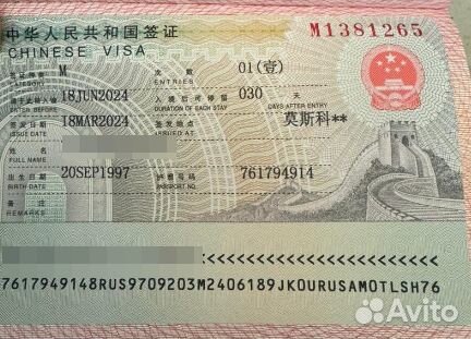Любая виза в Китай 2024г