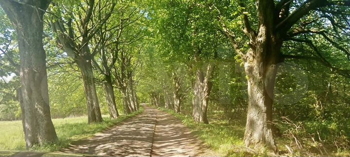 Участок 7 сот. (ИЖС)