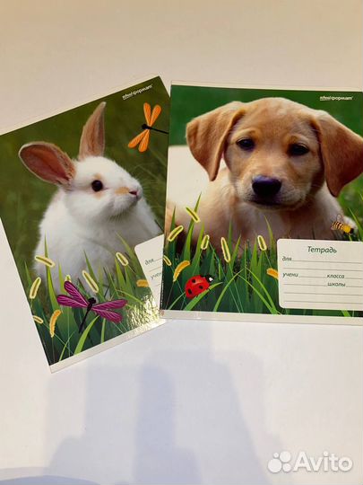 Тетради предметные набор