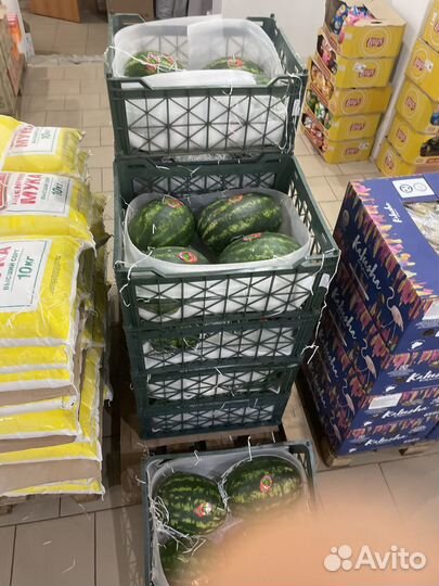 Арбузы Иран