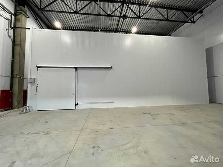 Холодильная камера для хранения яблок