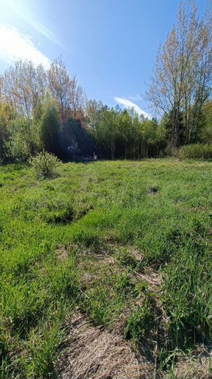 Участок 12,7 сот. (СНТ, ДНП)