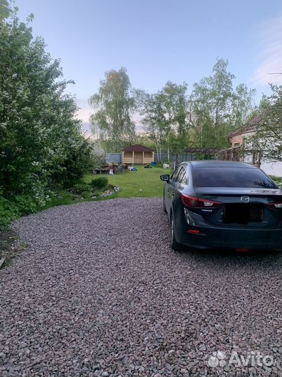 Передержка собак