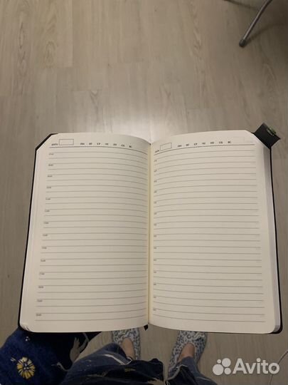 Ежедневник schneider на кнопке