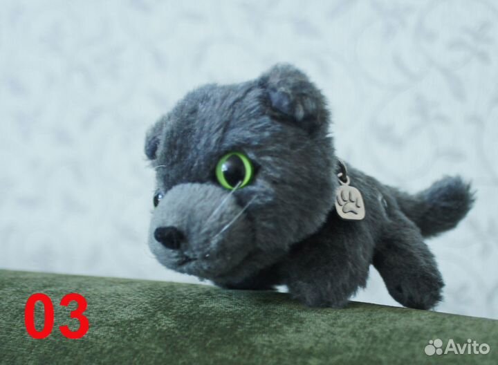 Коллекция котиков 