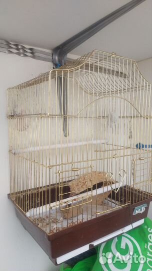 Клетка для волнистого попугая