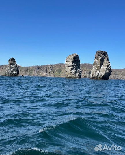 Морская прогулка рыбалка