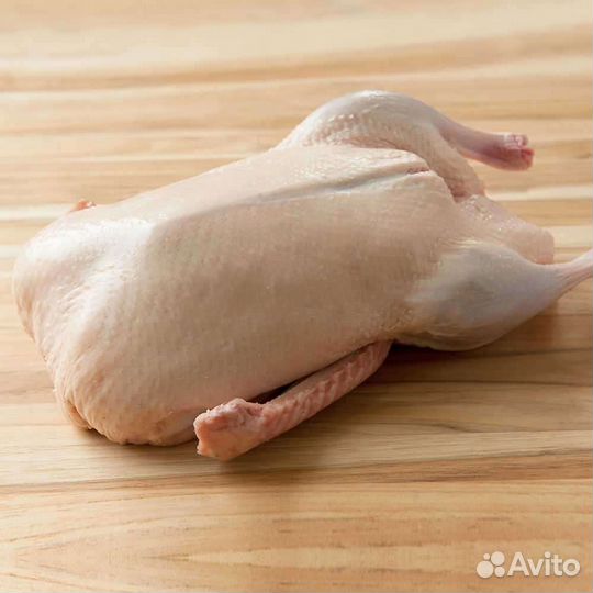 Утка домашняя мясо