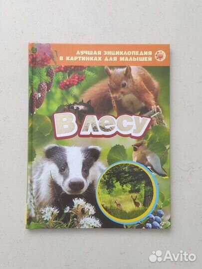 Лучшая энциклопедия для малышей. В лесу