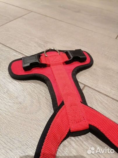 Поводок + шлейка Rogz