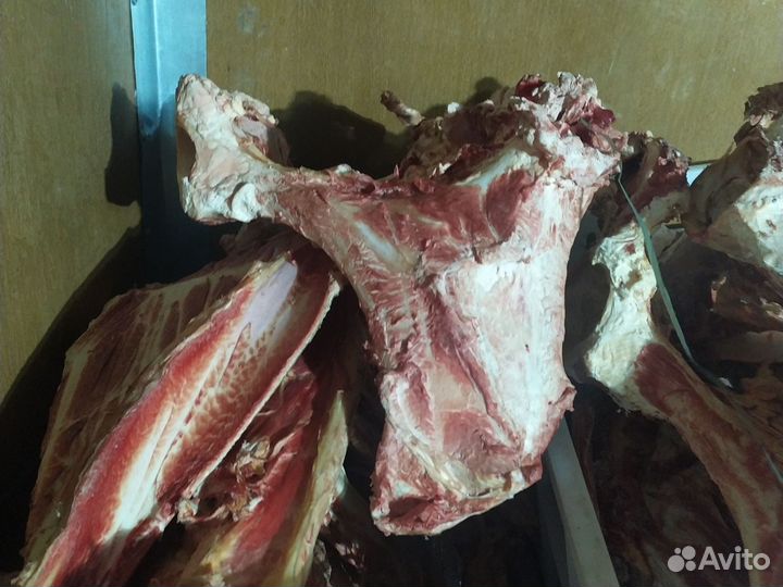 Ребра кости говяжий для собак