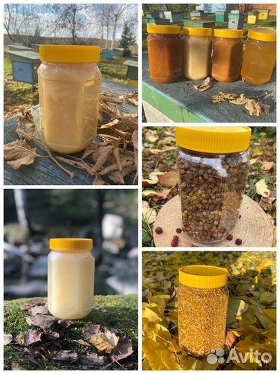 Мёд Алтая 2023 (Розница вес 1.2кг)
