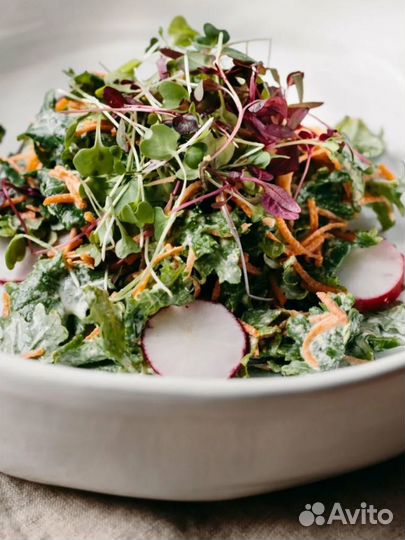 Микрозелень