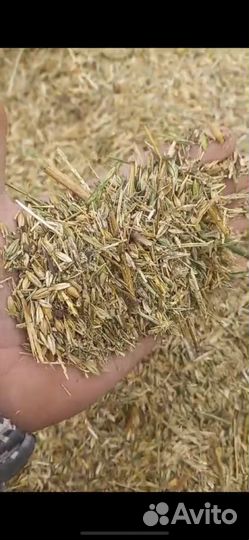 Зерноотходы