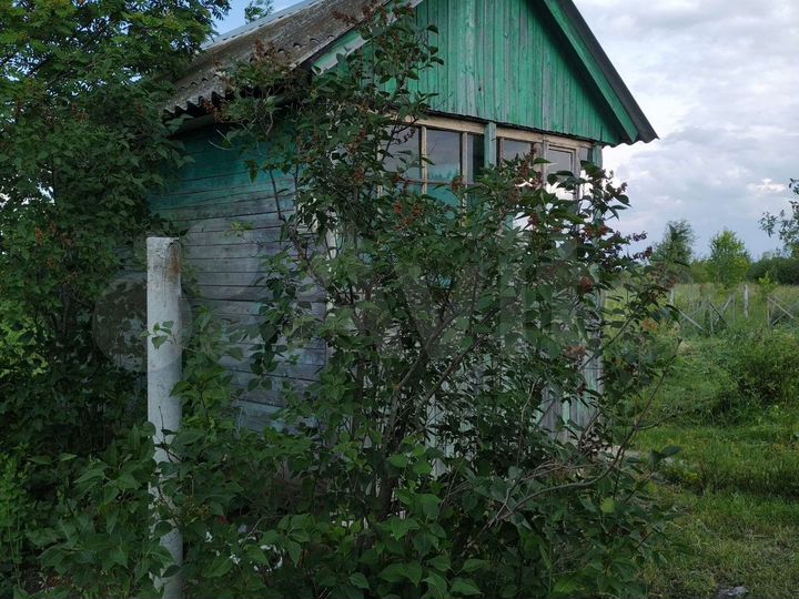 Участок 12 сот. (СНТ, ДНП)