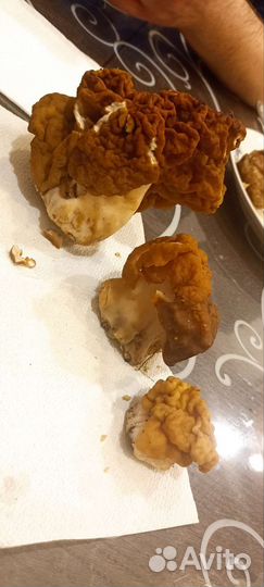 Грибы строчки свежие