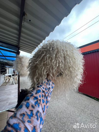 Папаха натуралка шапка