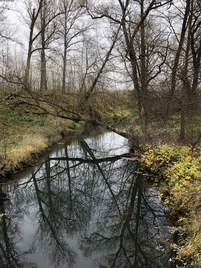 Участок 20 сот. (ИЖС)