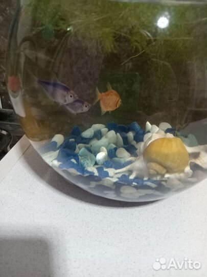Аквариум 25 литров