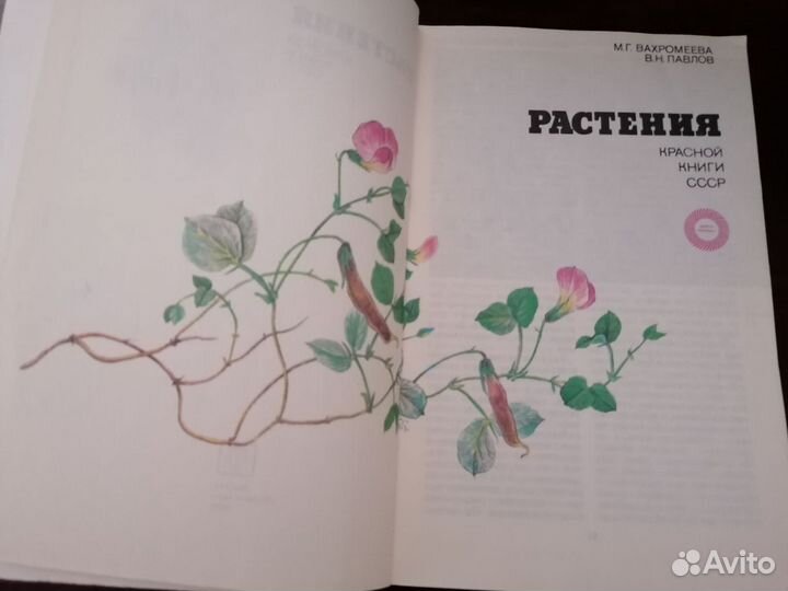 Растения Красной книги СССР. Вахромеева 1990 г
