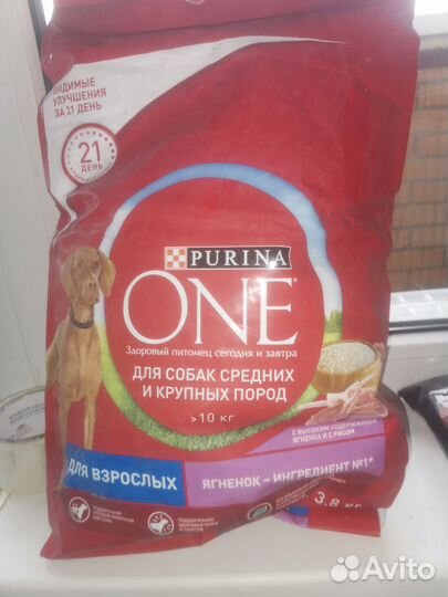 Корм для собак