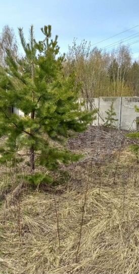 Дача 40 м² на участке 18 сот.