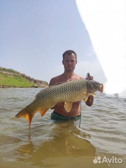 Жмых самодельный макуха