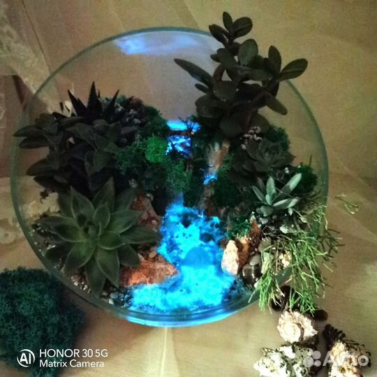 Флорариумы