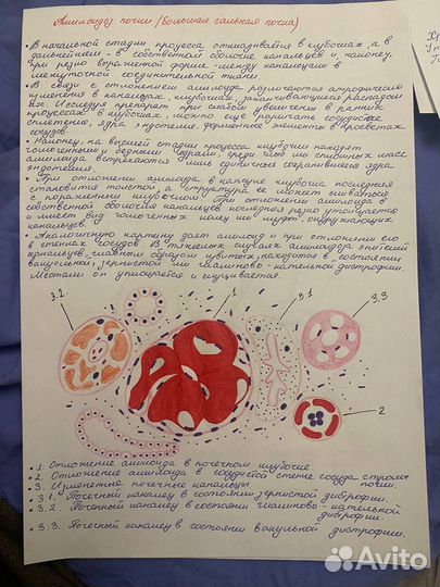 Перепишу от руки лекции и конспекты