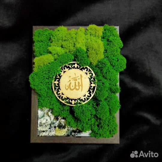 Картина из стабилизированного мха