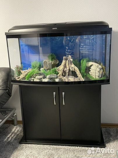 Аквариум с тумбой бу