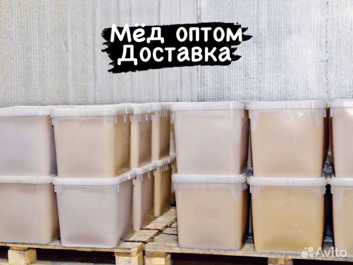 Мед оптом. Горный
