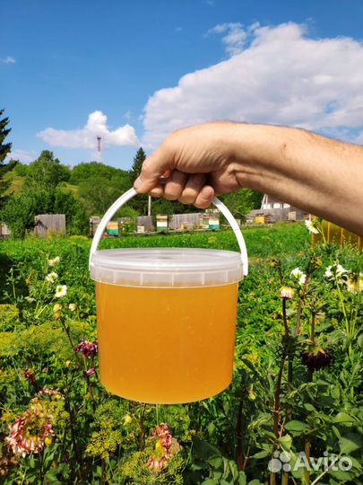 Свежий мед/ сотовый мёд 2023