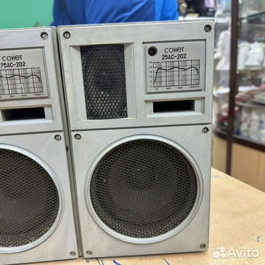 Акустическая система Сонет 25ас-202 (сзр)