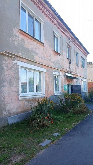 1-к. квартира, 27 м², 1/2 эт.