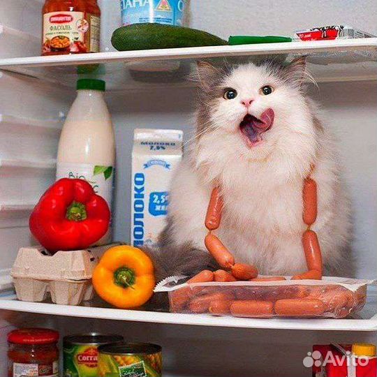 Продукты на корм животным