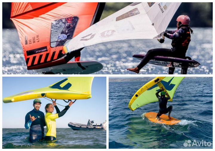 Вингфойл Обучение