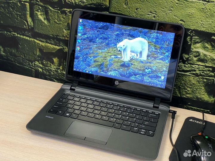 Ноутбук HP ProBook Core i3