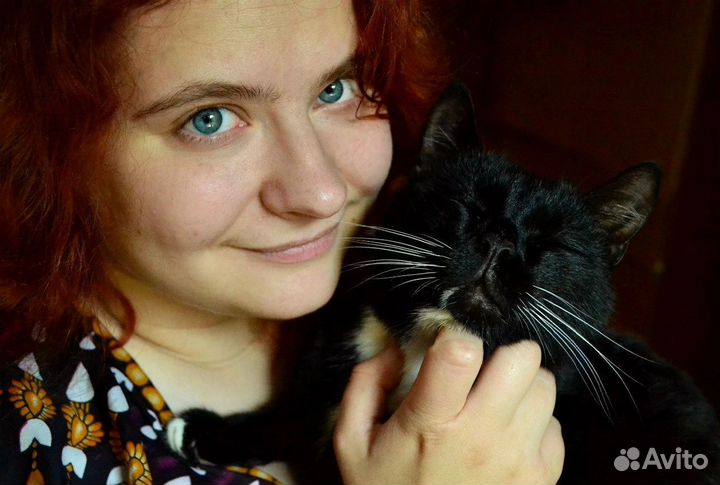 Зооняня/котоняня(свободна)