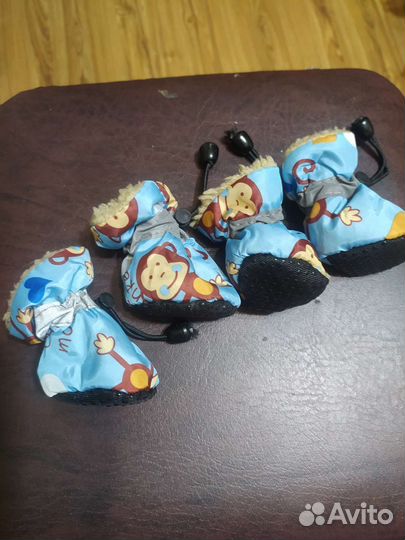 Обувь для маленьких собак