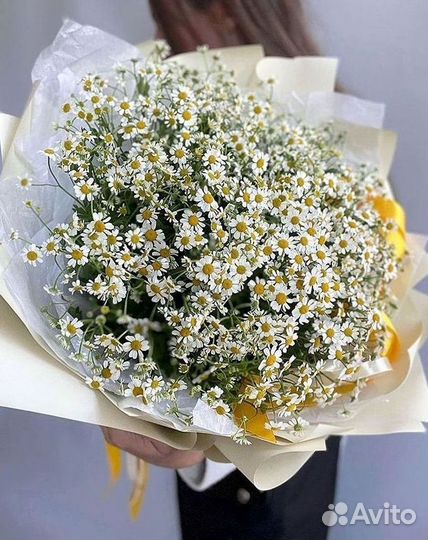 Букеты. Доставка ромашек