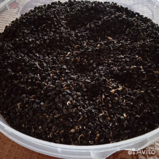 Продам чернушку