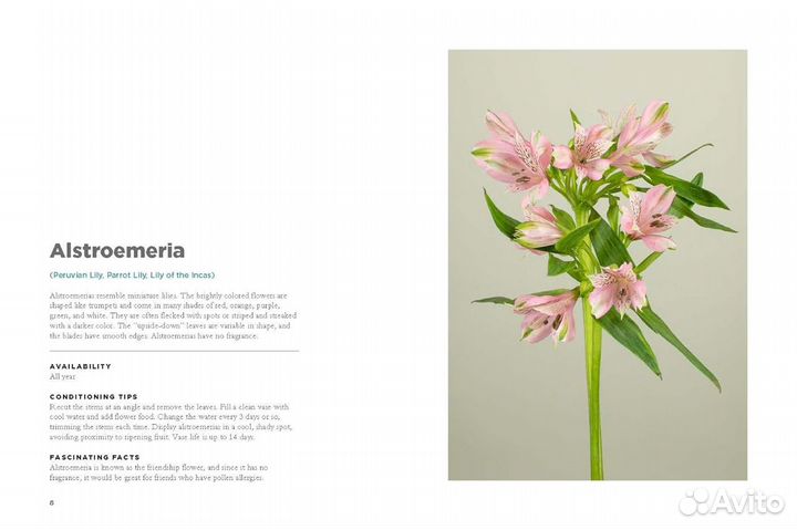 The Encyclopedia of Cut Flowers