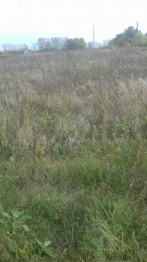 Участок 21 сот. (ИЖС)